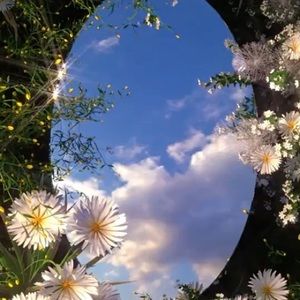 Meet your Posher, F a i t h 🧸🍒